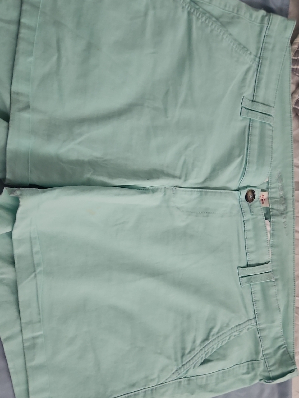 Arizona Jean Company Mint Bermuda Shorts - Light Mint